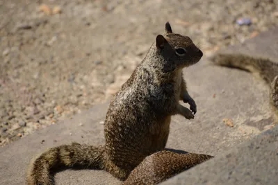 DSC_6833 (Large).JPG